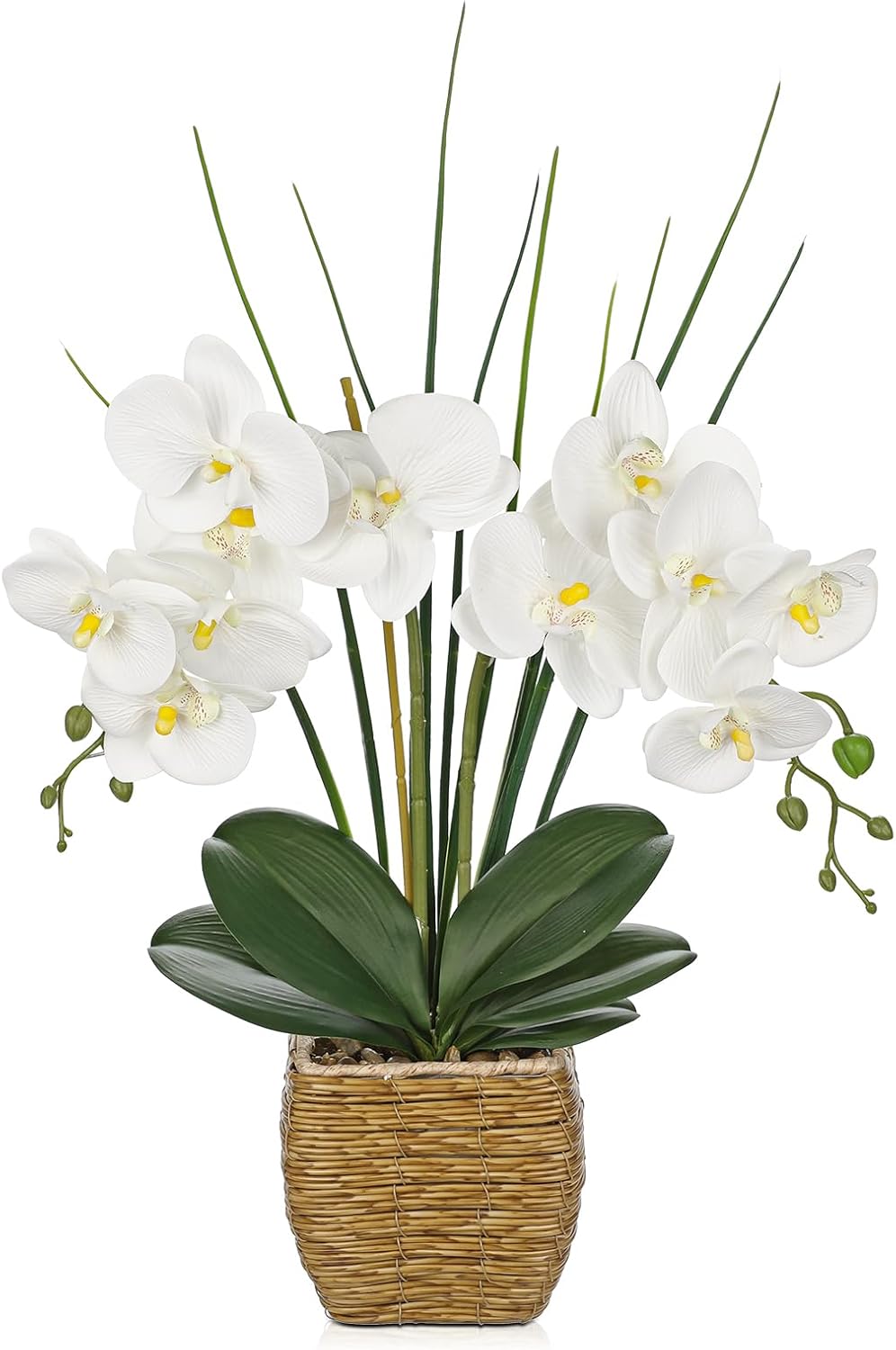 Hollyone 21.6" White Orchid Artificial Flowers Fake Orchid in Rattan Woven Vase Faux Orchids Phalaenopsis Arrangement in Pot for Office Table Centerpiece Shelf Wedding Indoor Outdoor Home Decor