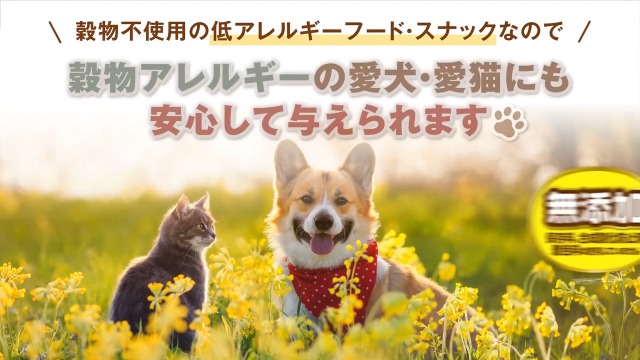 YawaraHa グレインフリー ヤワラハ グレインフリー ソフト チキン&野菜入り 600g | チャーム