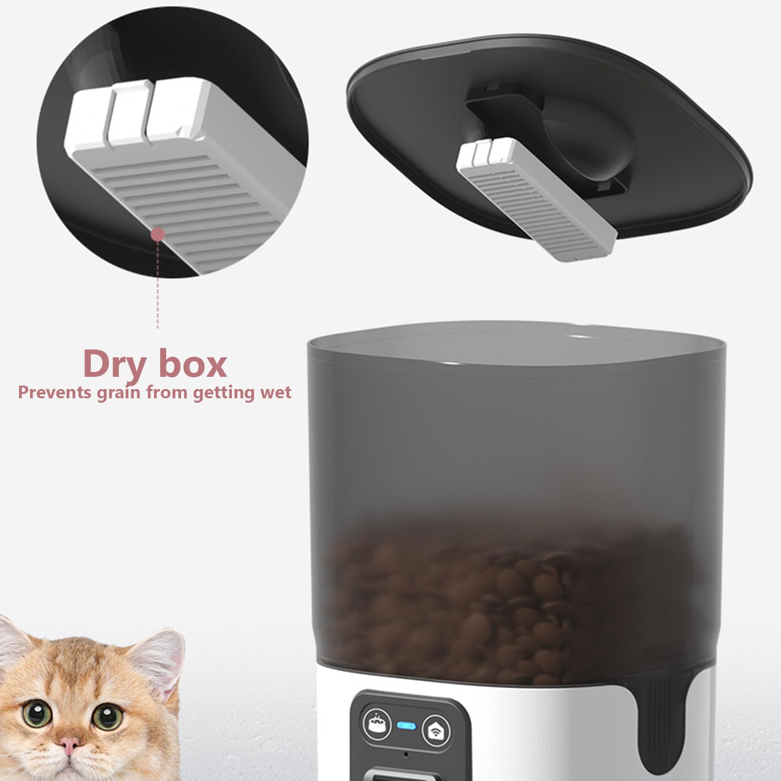 Distributeur Automatique De Nourriture 6L avec Contrôle App, Caméra 480P Dispenser Cibo Gatti con Timer Programmabile Distributore Crocchette Gatto con Ciotola in Acciaio Inox