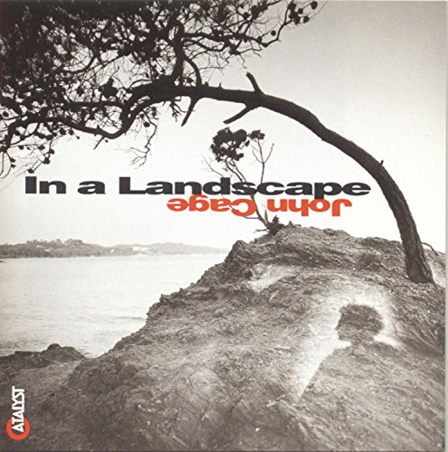 Cage: In a Landscape
