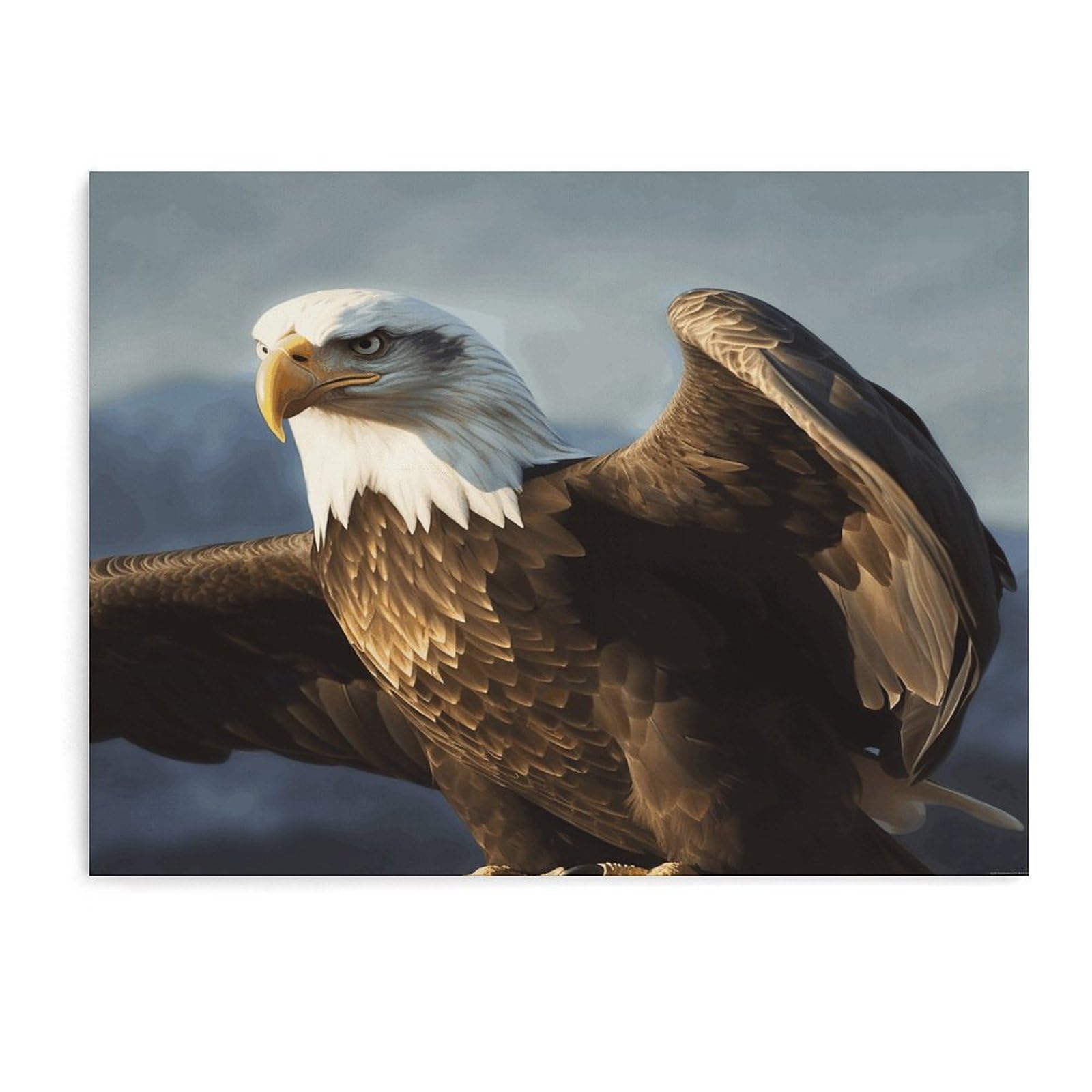 Fodpand Unframe-Style Eagle Bathroom Wall Art Canvas Prints, Artwork For Walls For Living Room Hallway Stair Office Wall Decor, Pictures Home Decor 15.7X11.8 Inch
