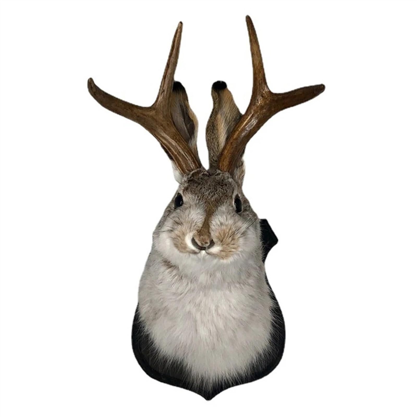 Zpzvebekk One Color Antlers Wall Decor Animal Head Wall Decor Resin Deer Bunny Head Antlers Wall Mount Realistic Faux Taxidermy Jackalope Wall Art Hanging Decoration Wooden Antler Rabbit Head For Home Office