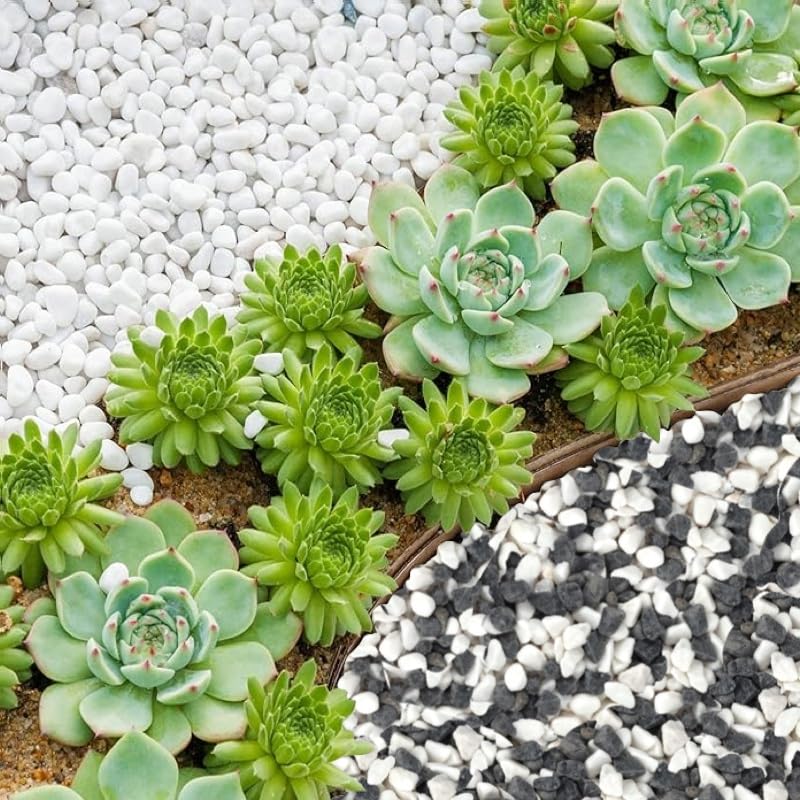 Ciottoli Decorativi Per Giardino - Colori Misti, 8-16 Mm, Per Vasi, Acquari E Decorazioni