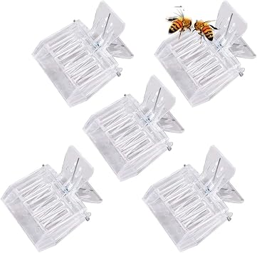 5Pcs Bee Queen Cage Catcher Transparent Plastic Queen bee Clip Beekeeping Tools