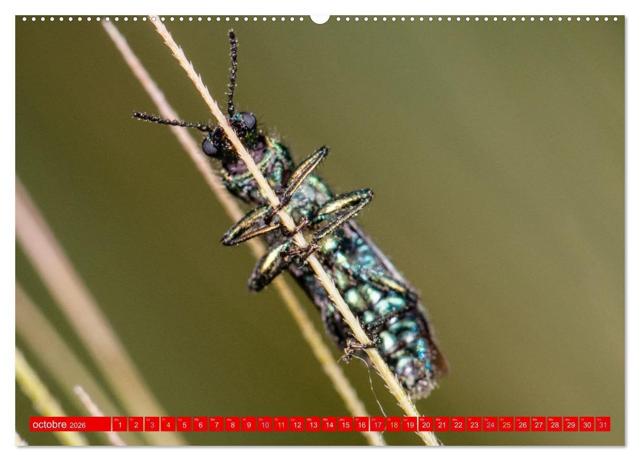 Les gardiens des écosystèmes (Calendrier mural 2026 DIN A2 vertical) calendrier de bureau: Rôle crucial des insectes régulateurs dans le maintien de l'équilibre écologique.