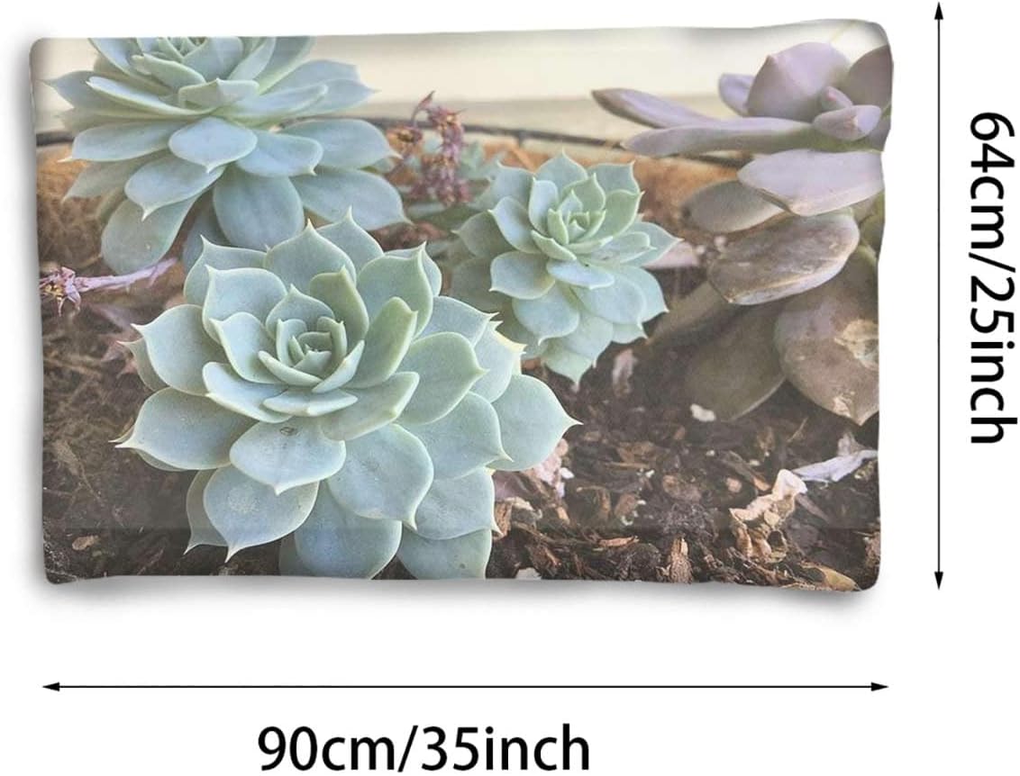 review Green Thermal Pet Mat Bed Liner Cute Succulents Flower Desert Self Warming Crate Pad with Soft Sherpa Top for Dogs, Cats, Pets by Hot Plant Artwork 25
