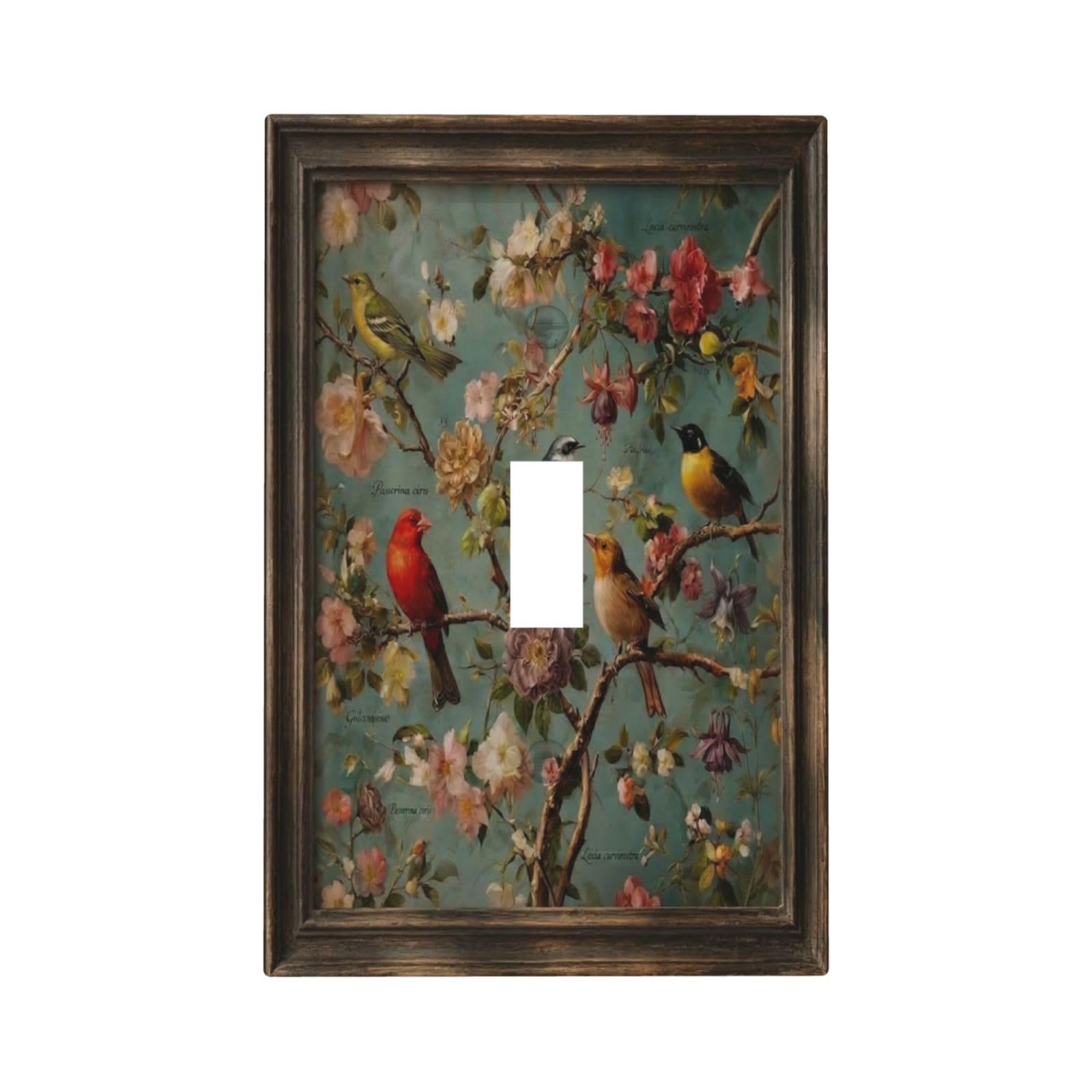 Photo 1 of Zynvos Single Toggle Light Switch Cover