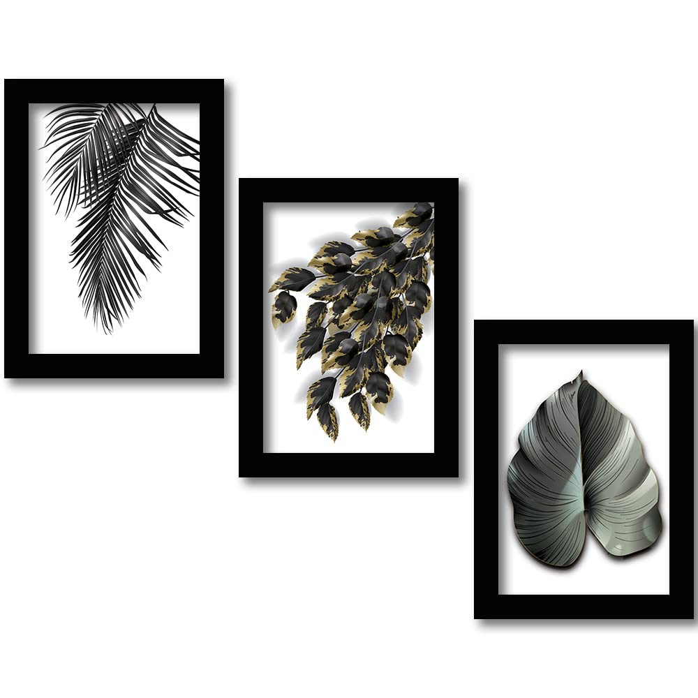 HEVEAEngineered Wood Botanical Modern Art Framed Wall Posters / Paintings with Frame Wall Paintings Hangings Framed Wall Art Paintings (11 inch x 14 inch, Framed, Black, White) -Set of 3