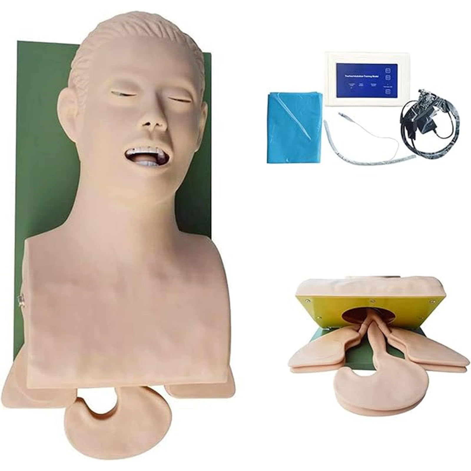 Intubación traqueal Manejo de la vía aérea Instructor Maniquí de intubación para capacitación y educación médica Educación en laboratorio de ciencias A
