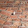 Arthouse Urban Red Brick Effect Wallpaper - Photographic Design - 3D Effect - Living Spaces & Feature Walls - Paste The Paper - Easy to Hang - 53 cm x 10.05 m Roll - Code 696600 #4