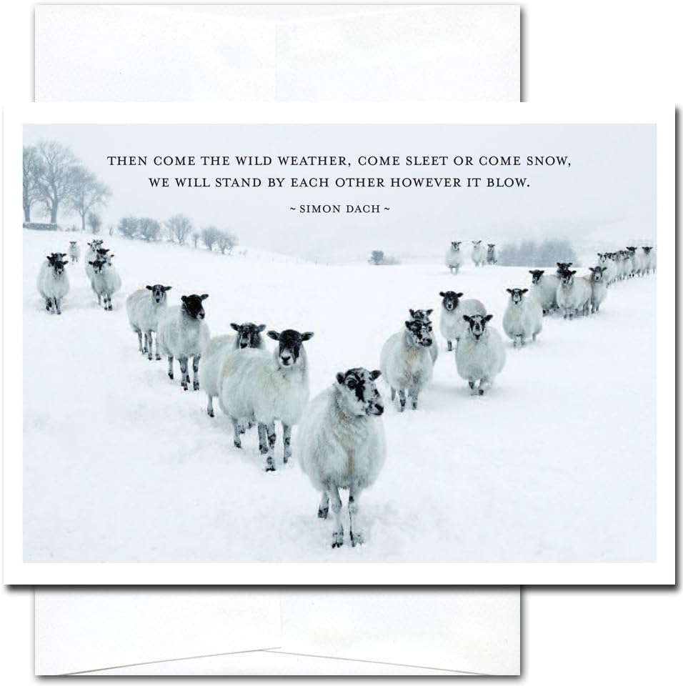 New Year Cards-Sleet or Snow 10 Cards & Env Made in USA by Cronincards
