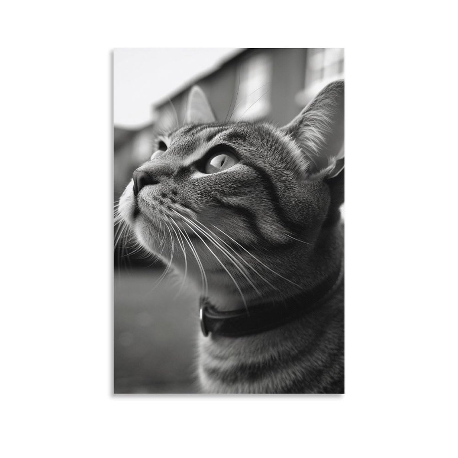 Canvas Wall Art Poster Personalized Pictures Print Black And White Photo of Cat Wall Pictures Modern Art Canvas Painting Unframe-Black And White Photo