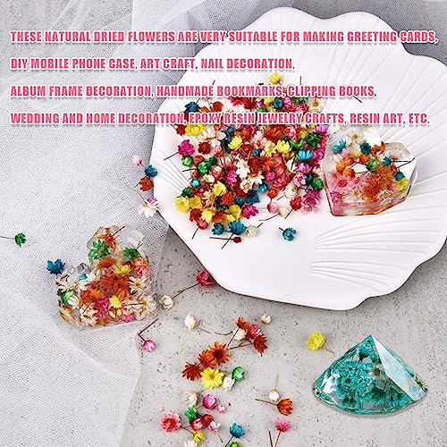 Flores secas, 300 pcs multicolor para manualidades miniatura 5
