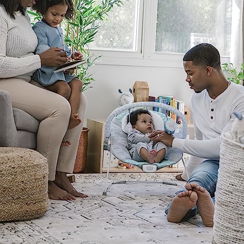 Ingenuity Vibrating Baby Bouncer Seat for 0-6 Months (Goji)