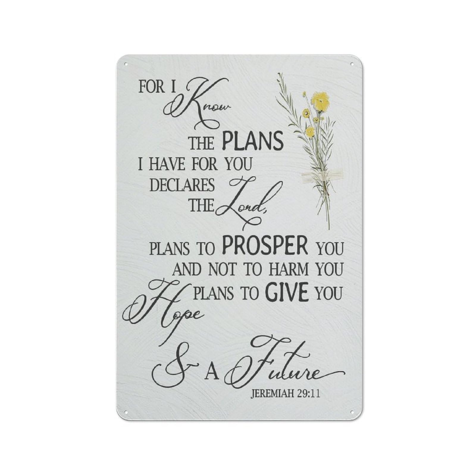 Jaesxxco Tin Sign21 Metal Poster Vintage Tin Signs Christian Bible Scripture Jeremiah 2911 For I Know The Plans I Have For You Aluminum Sign Prints Decor For Home Farmhouse,Christian Decor,Christian Gifts 12X16 Inch