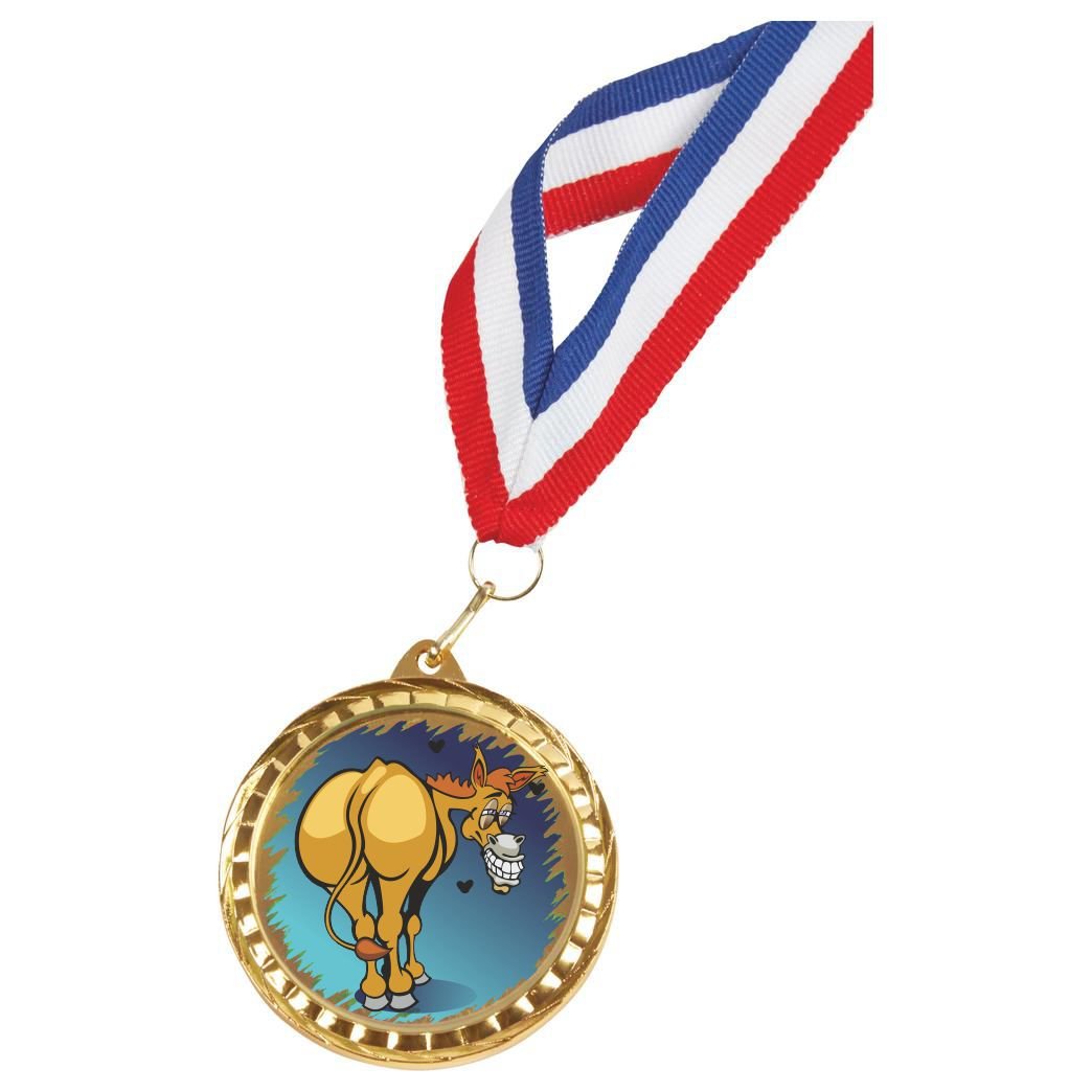 Donkey,Ass Award,Loser,Fun 60mm Gold Medal with Ribbon (488ZAP/IG121) twt