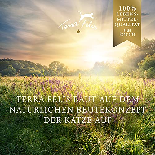 TERRA FELIS Kaninchen & Pute - Famousse Nassfutter, 12x80g I Premium Katzenfutter in 100% Lebensmittelqualität Aller Rohstoffe I Hergestellt in Bayern | zuckerfrei & getreidefrei I Alleinfuttermittel