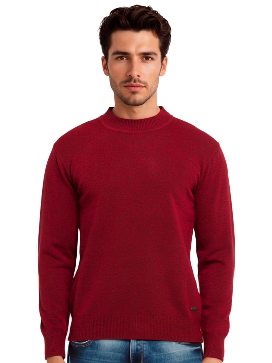 Mens Solid High Neck Sweater-image-39