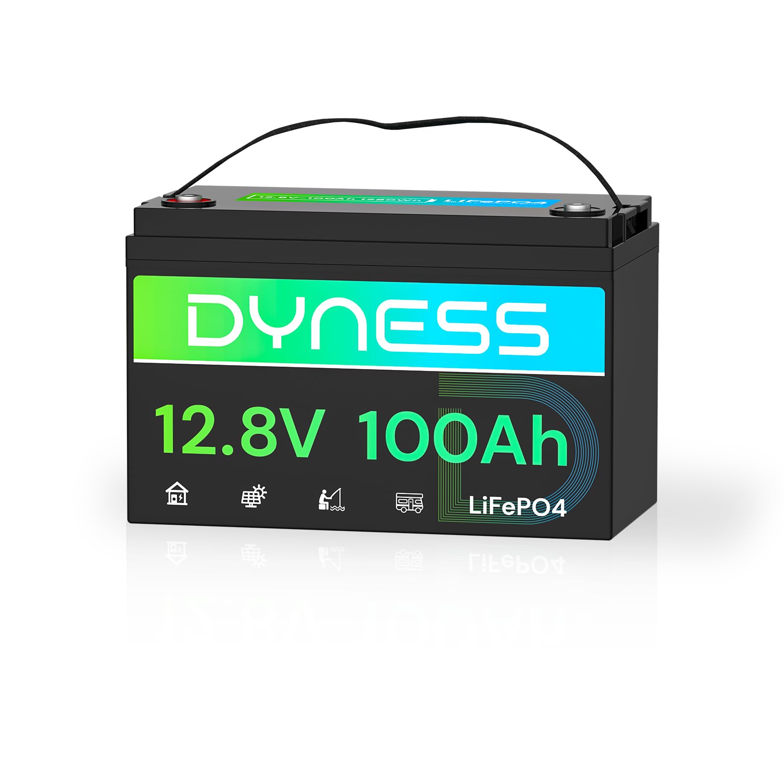 Dyness LiFePO4 Batteria al Litio 12V 100Ah a Ciclo profondo con 100A BMS, Per Campeggio, Barche, Accumulo Solare Domestico, Off-grid