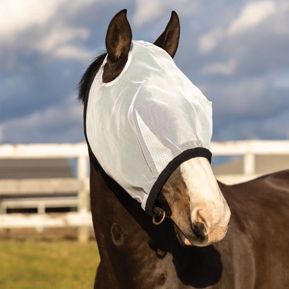 Dura-Mesh Original Fly Horse Masks Without Ears | Ultimate Protection & Comfort | 70% UV Shield & Durable Mesh Design | Color White | Size Cob