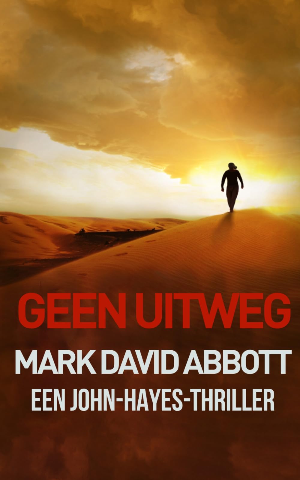 Geen Uitweg: Een John Hayes Thriller: #4