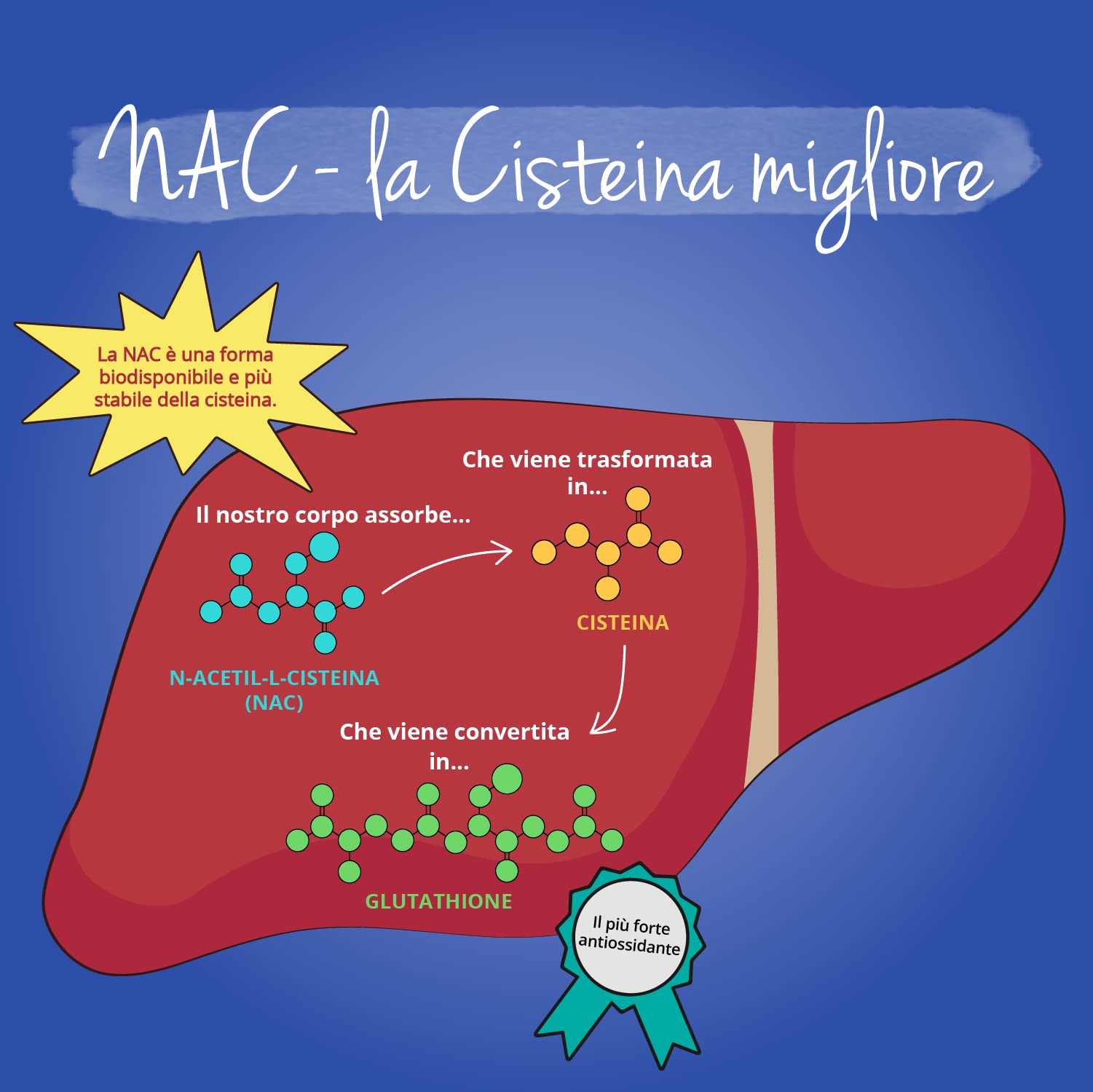 NAC N-Acetil-Cisteina 600 mg | 180 capsule (6 Mesi) | Alto Dosaggio | 100% NATURALE da Mais | Precursore del Glutatione | SENZA ADDITIVI | Integratore N-Acetyl L-Cysteine | Vegan | Vegavero