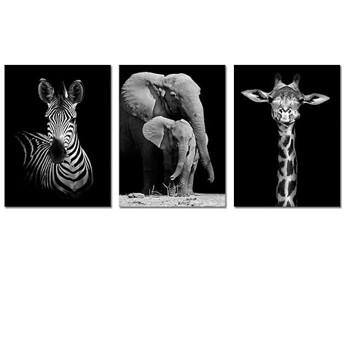 Art Black And White Animal Prints BELAJAR IPA BERSAMA