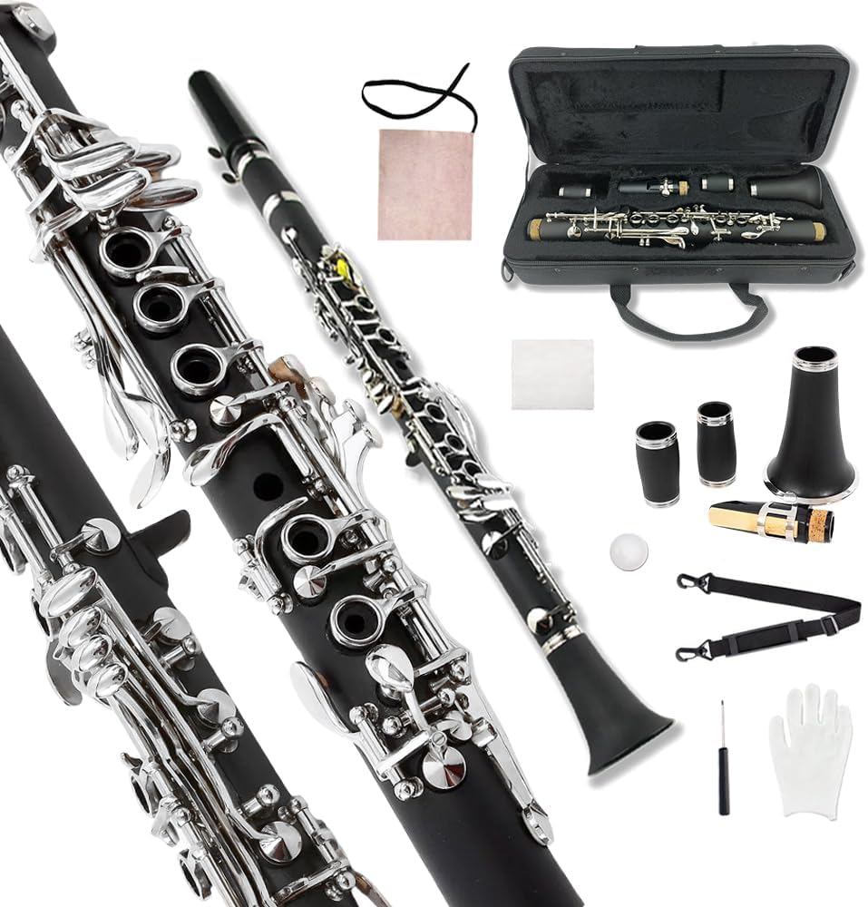 Professional Ebonite Clarinete E Key Clarinet for Beginner Students with 2 Barrels Hard Case Cleaning Kit Mouthpice Cork Grease Gloves