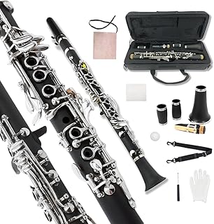 Yinfente Professional Ebonite Clarinete E Key Clarinet for Beginner Students with 2 Barrels Hard Case Cleaning Kit Mouthpice Cork Grease Gloves