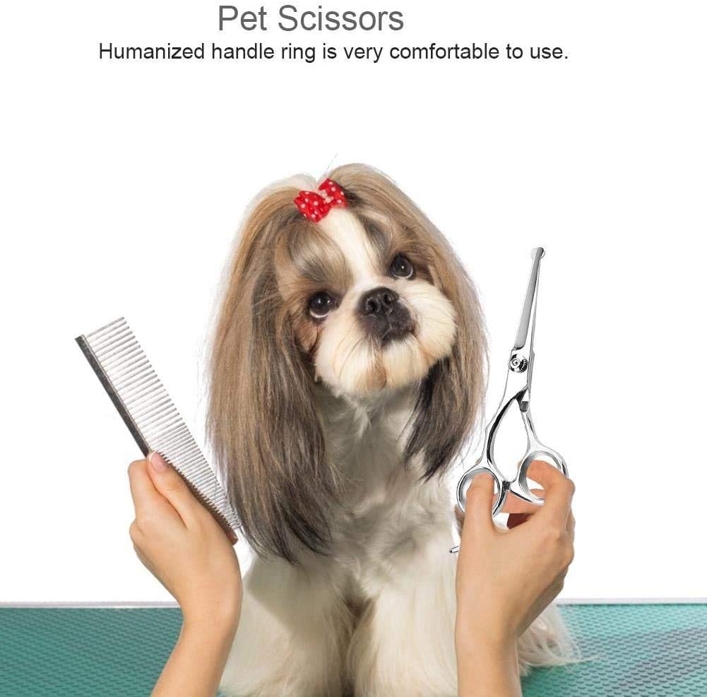 Pet Grooming Forbici Set Dritto Curvo Gatto Del Cane Del Taglio Diradamento Cesoie Kit Capelli Diradamento Shears in Acciaio Inox Di Sicurezza Punta Tonda