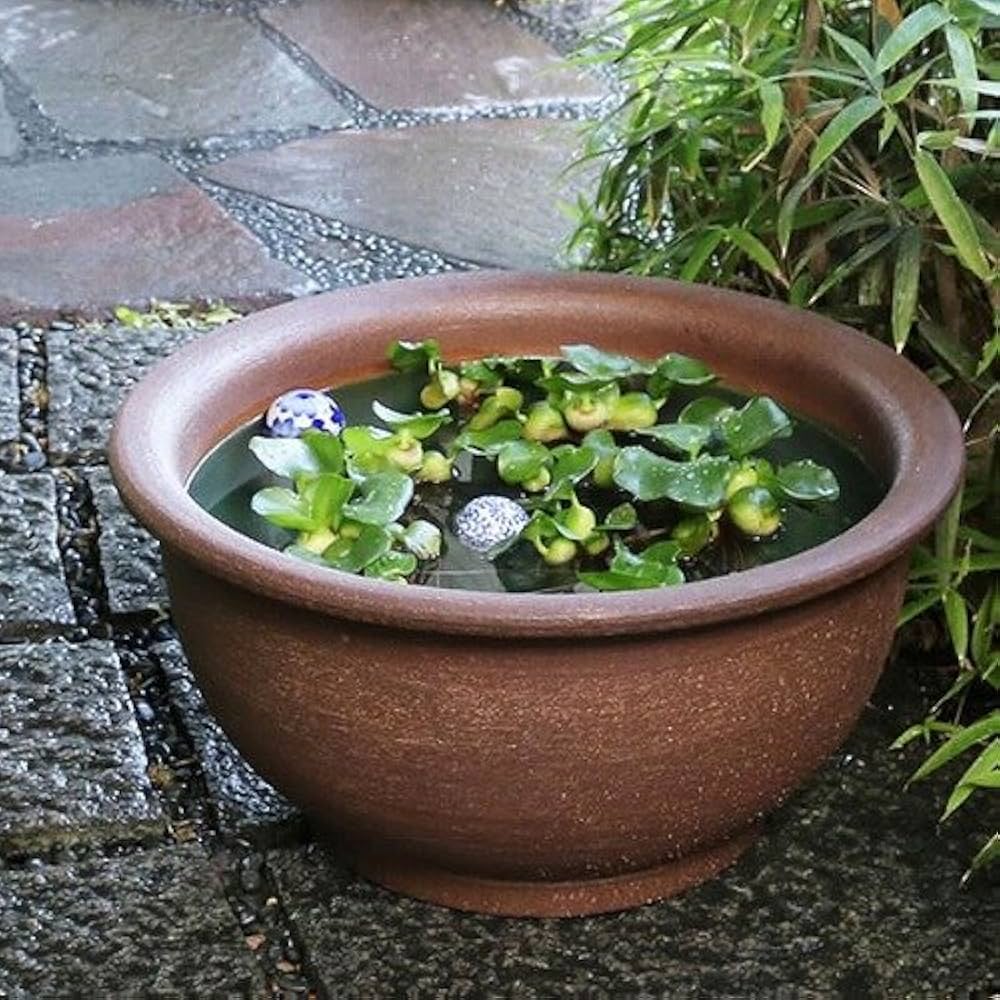 昭和レトロ　古民家・骨董。 陶器製茶色水鉢・睡蓮鉢② 大きな茶色の水鉢 Amazon | 信楽焼 16号トチリワン型すいれん鉢 睡蓮鉢 スイレン鉢 屋外