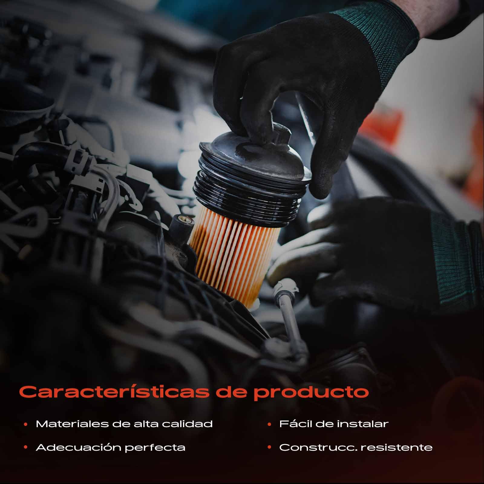 Frankberg Carcasa del filtro de aceite 11421713838 | Compatible con: Z3 E36, Serie 3 Convertible E46, Serie 3 Coupé E46, Serie 3 Touring E36, Serie 5 Touring E61