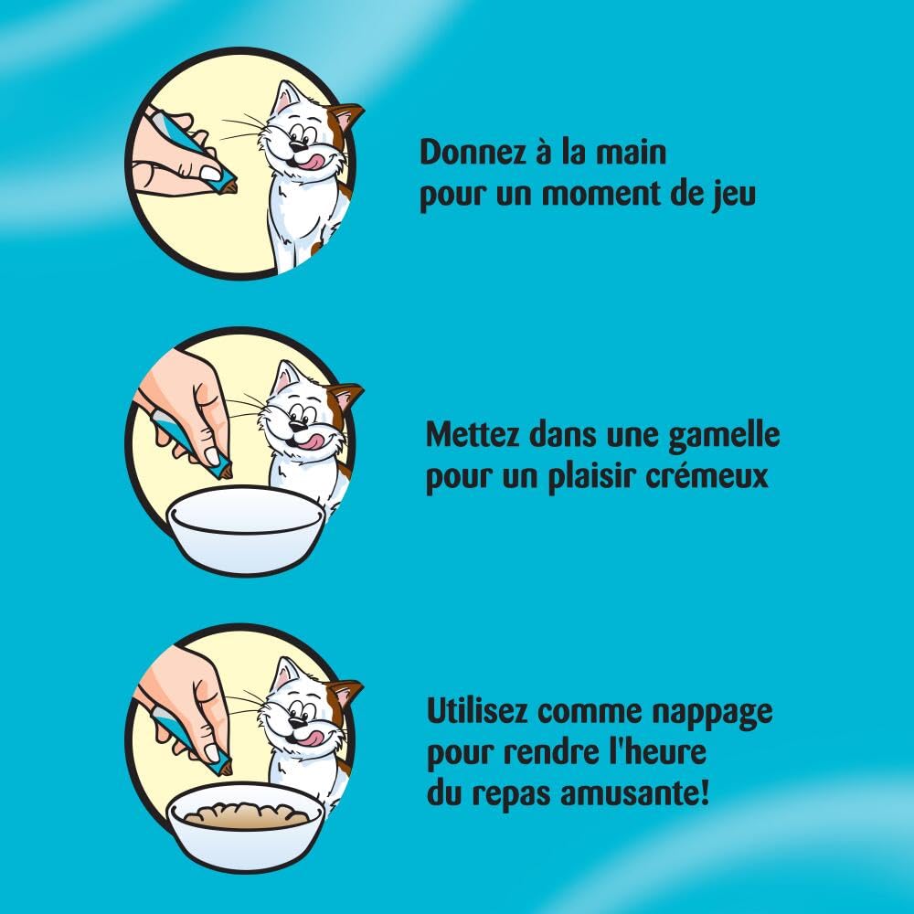 Catisfactions Creamy Friandises pour Chat – Goût Saumon – Récompenses pour Chats Adultes et Chatons – Pack de 4 sachets de 10 g (Lot de 11)