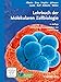 Produktbild Lehrbuch der Molekularen Zellbiologie (WileyVCHLehrbuchkollektion 1)