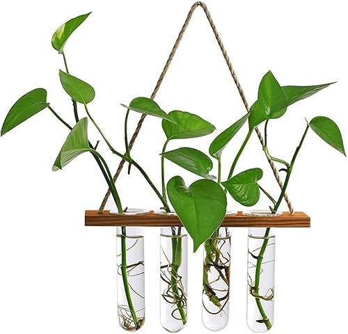 Maceta colgante de pared Terrario con soporte de madera, mini tubo de prueba floreros retro colgante plantador de vidrio propagador para plantas