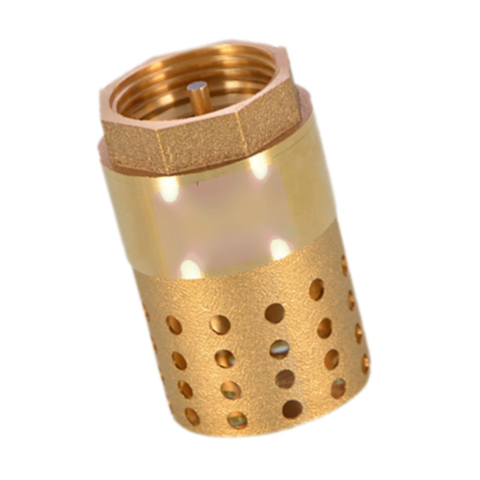 TWISAXC Prevent Backflow Effectively Brass Foot Valve Maintains Prevents Backflow Reliable Performance Foot Valve is Made Brass and Steel Materials Check, Golden, DN25 with Holes