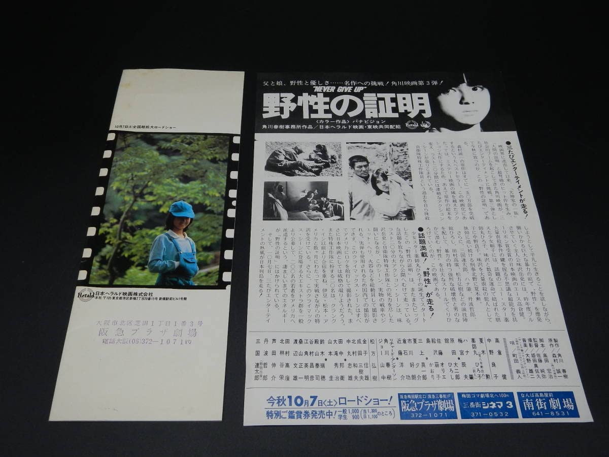 Amazon.co.jp: 野性の証明 パンフレット 薬師丸ひろ子 高倉健 角川春樹