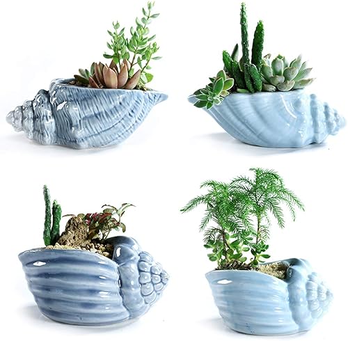 Miniatura 7 de Macetas bonsái de 5.5 pulgadas, serie Blue Conch Ocean Serie, juego de serie de base de cerámica, maceta para suculentas, maceta de cactus, maceta