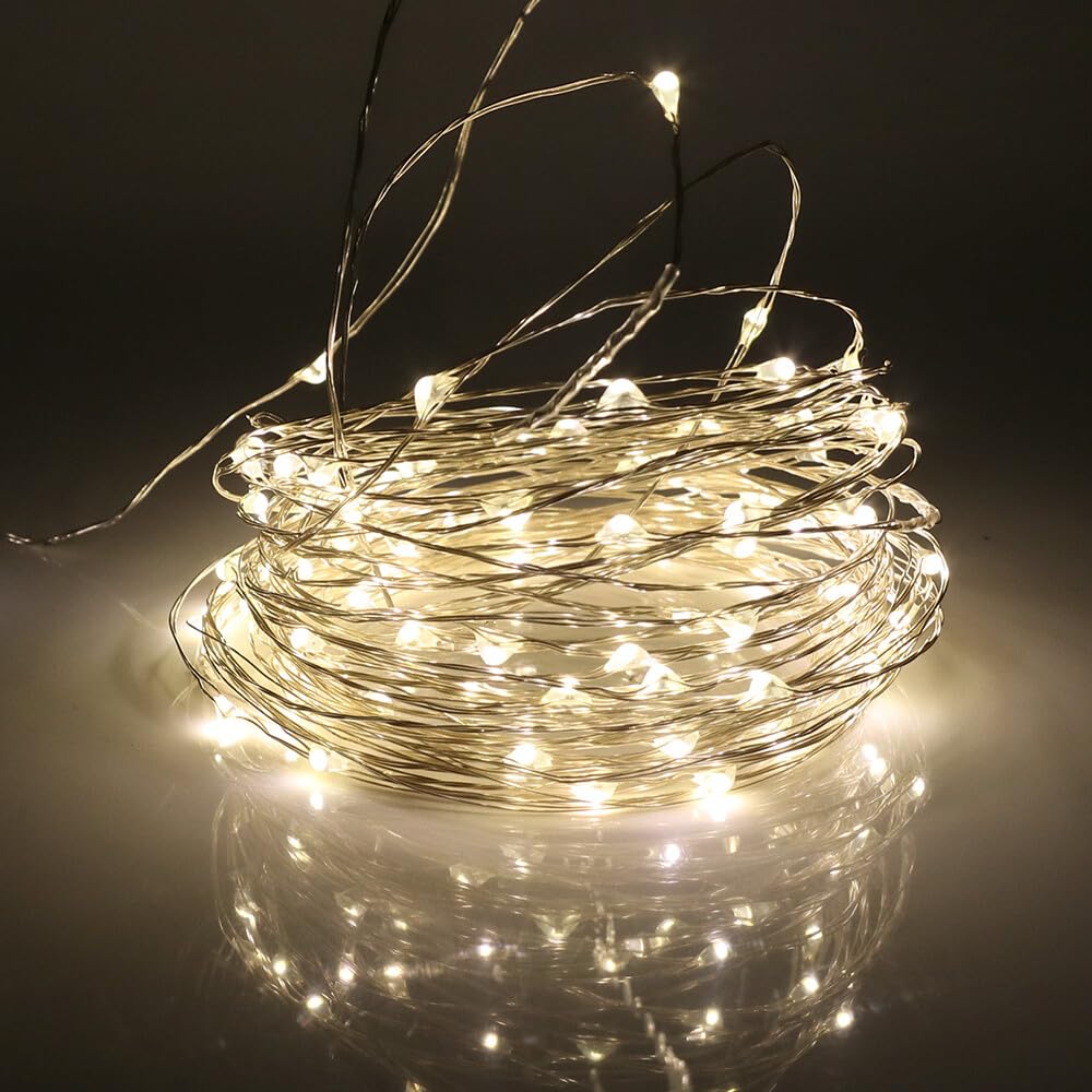 HEGEHE Kit luci a stringa LED 12V, luci natalizie LED flessibili impermeabili bianco caldo 30M con alimentatore switching, luci in filo di rame da 300 LEDs/m, decorazione per interni ed esterni