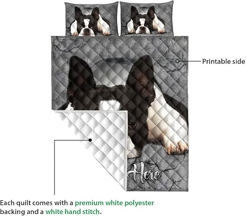 Miniatura 3 de OhaPrints Manta y fundas de almohada personalizadas con nombre personalizado de Boston Terrier Dog Crack Gray Sliver - Juego de ropa de cama y funda