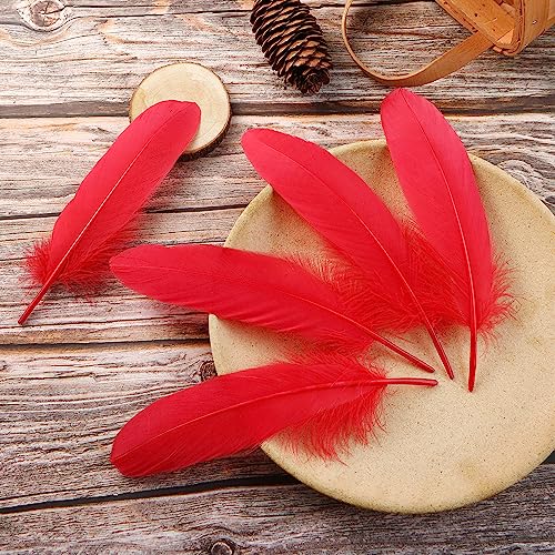 Plumas de ganso rojo Ballinger: 120 piezas de 6-8 pulgadas para manualidades 3