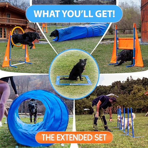 Sparklypets Premium Dog Agility Training Equipment, Build Unique Dog Agility Course With New Jump Over & Under Element, A Perfect Obstacle Course Backyard Set For Indoors & Outdoors! thumb #4