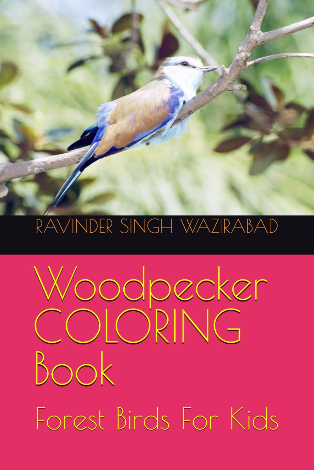 Woodpecker COLORING Book: Forest Birds For Kids