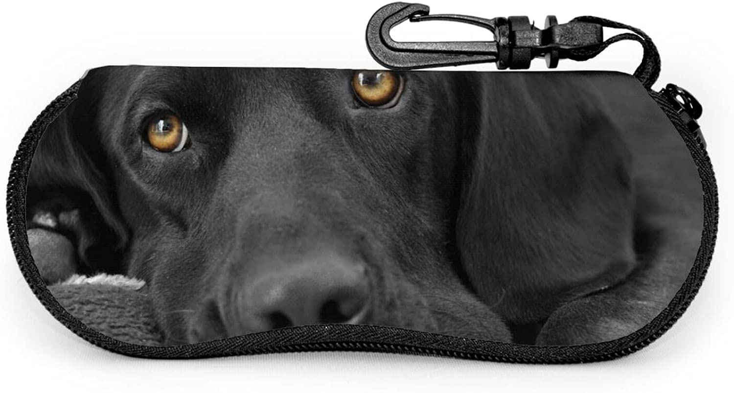 AOOEDM Stylish Black Lab Labrador Glasses Case With Carabiner, Unisex Kids Portable Soft Eyeglasses Protection Pouch For Sunglasses and Eyeglasses