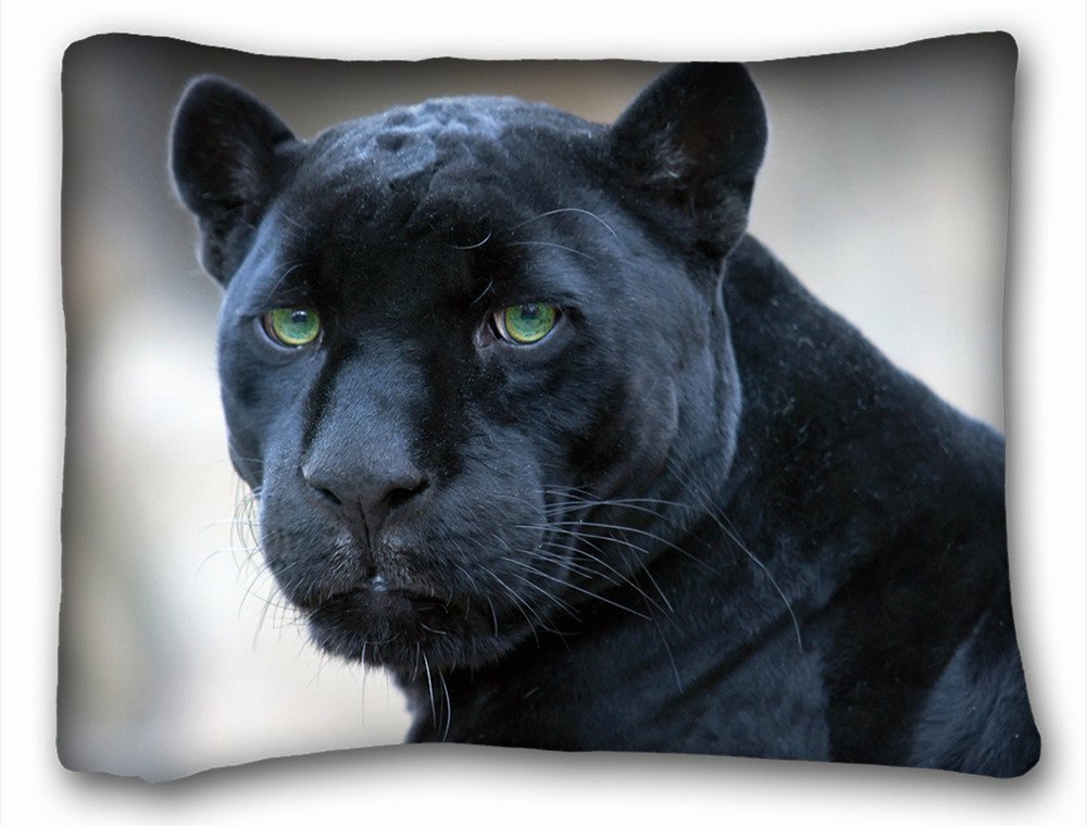 Decorative Standard Pillow Case Animals jaguar black panther 20"26" One Side-image-24
