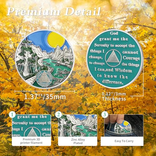Image of Sunlight 17 Year Sobriety Coin - Recovery 17 Year AA Coins - Serenity Prayer NA AA Chips and Medallions - 1-65 Prime Living Clean Sober Token - Narcotics Alcoholics Anonymous Gifts for Men Women