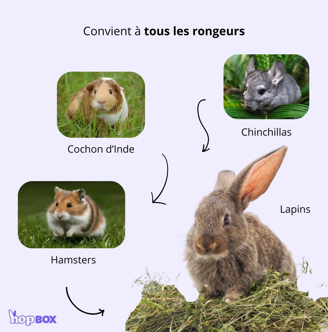 Foin de Prairie Premium pour Lapin & Cochon d’Inde 100% Naturel Longs Brins 5 Kg