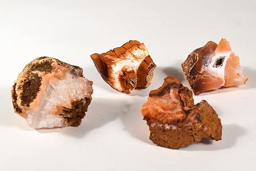 Miniatura 9 de HQRP Ágata cornalina naranja roja piedras ásperas de cristal natural Cabujones de piedras preciosas minerales Cabujones de muestras de roca -