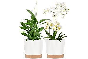 kubvici 8 Inch Indoor Plant Pot