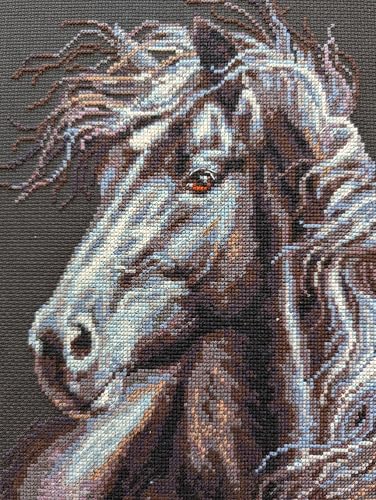 Image of RIOLIS - Breeze Through Mane 1494, Counted Cross Stitch Kit 11,81 inch x17,72, Black Horse Embroidery Kit, Cross Stitch Patterns for Adults with Horse, Cross Stitch Kits for Adults Advanced & Beginners
